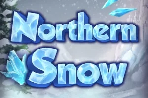 Northern Snow